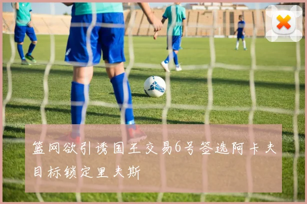 篮网欲引诱国王交易6号签选阿卡夫目标锁定里夫斯